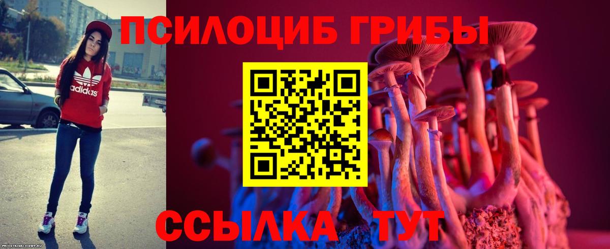Псилоцибиновые грибы Psilocybe  Вход с VPN  Краснодар 